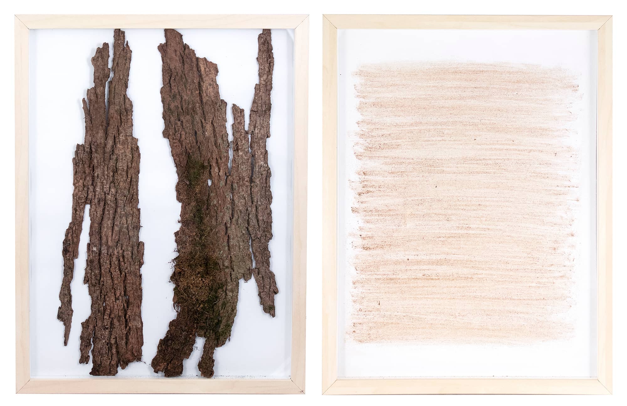 'Robinia', assemblage (bark and natural pigment on paper, framed). Artwork by Francesca Virginia Coppola
