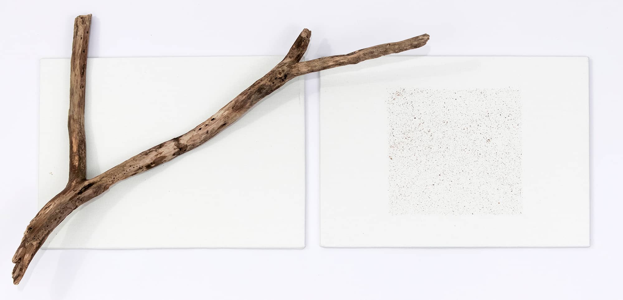'Branch', assemblage (wood branch and natural pigment on canvas). Artwork by Francesca Virginia Coppola