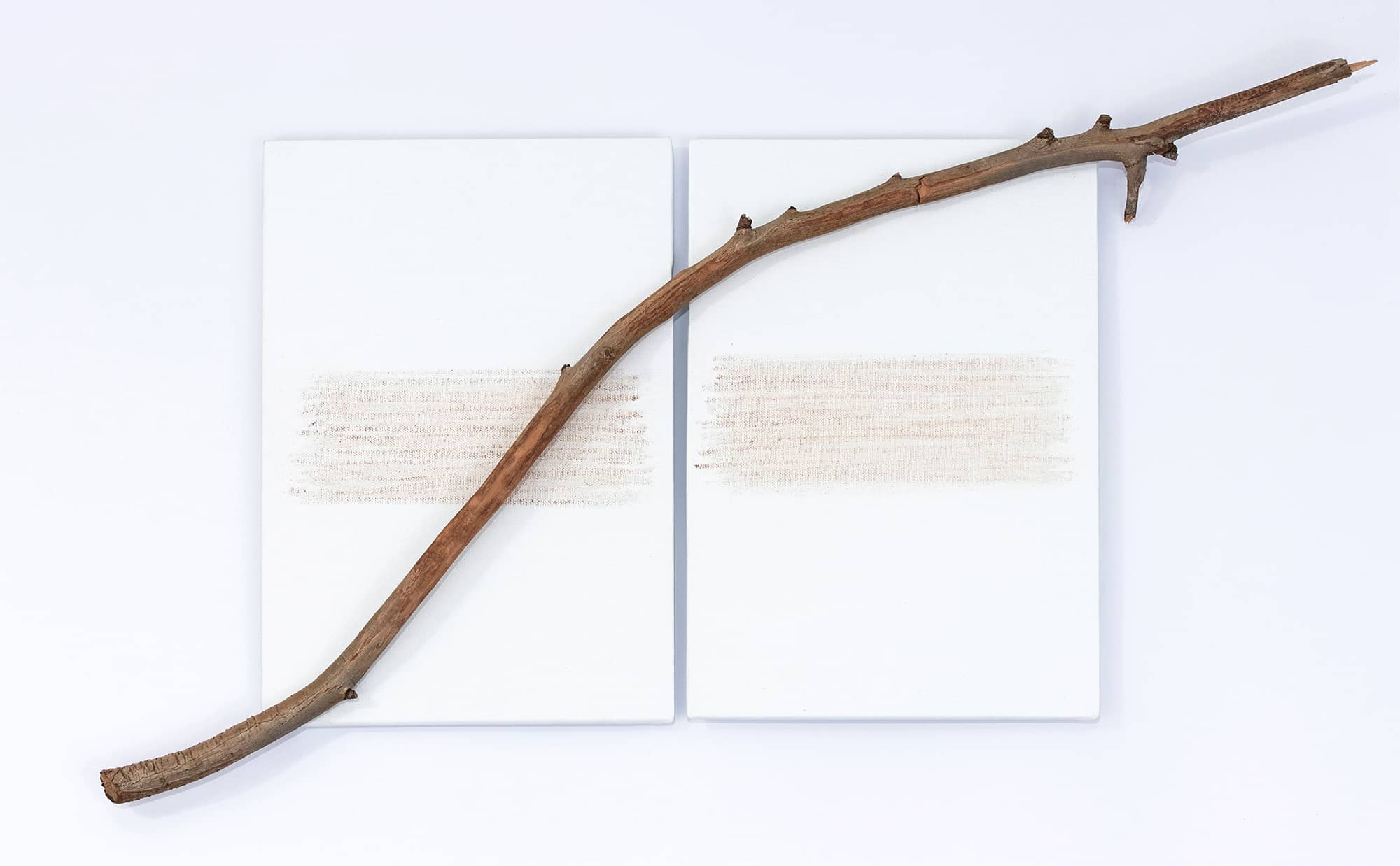 'Eucalyptus', assemblage (eucalyptus branch mounted on two canvas boards and natural pigment on canvas). Artwork by Francesca Virginia Coppola