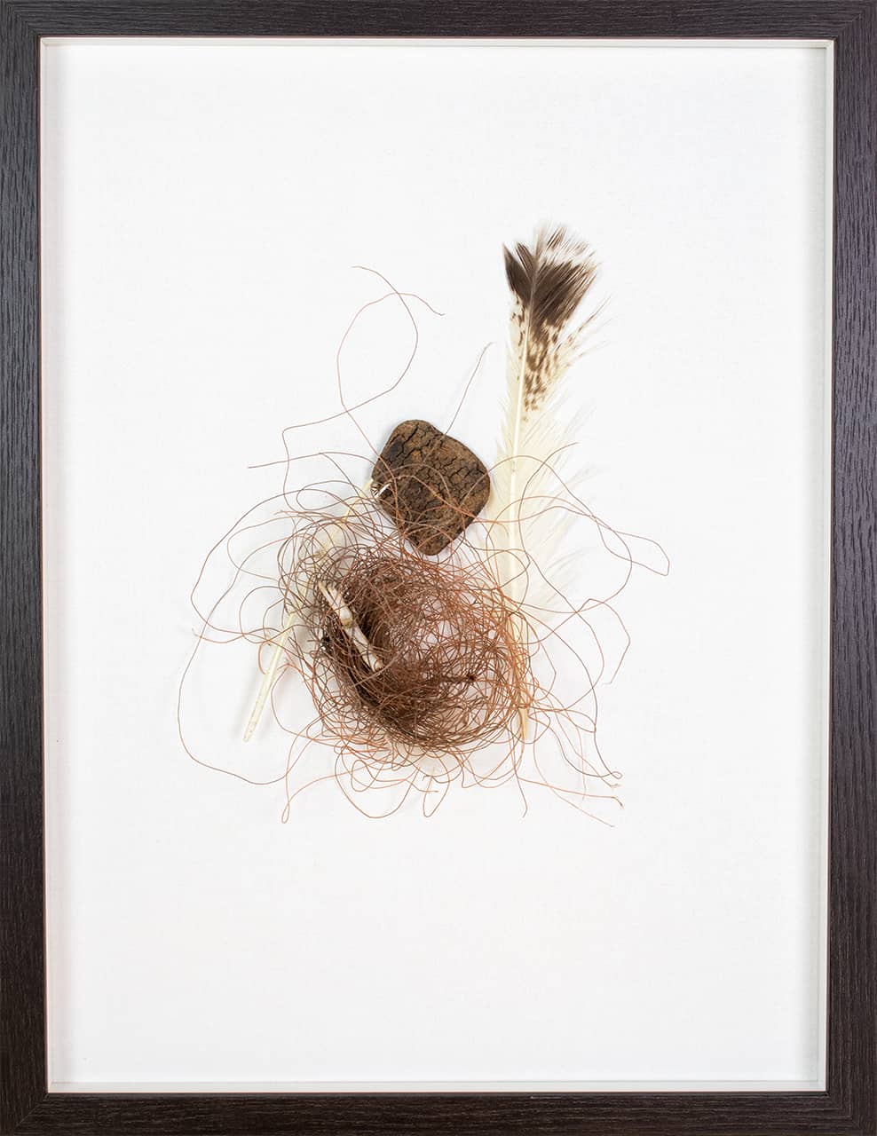 'Untitled' (from the beach), driftwood and feathers on canvas. Artwork by Francesca Virginia Coppola