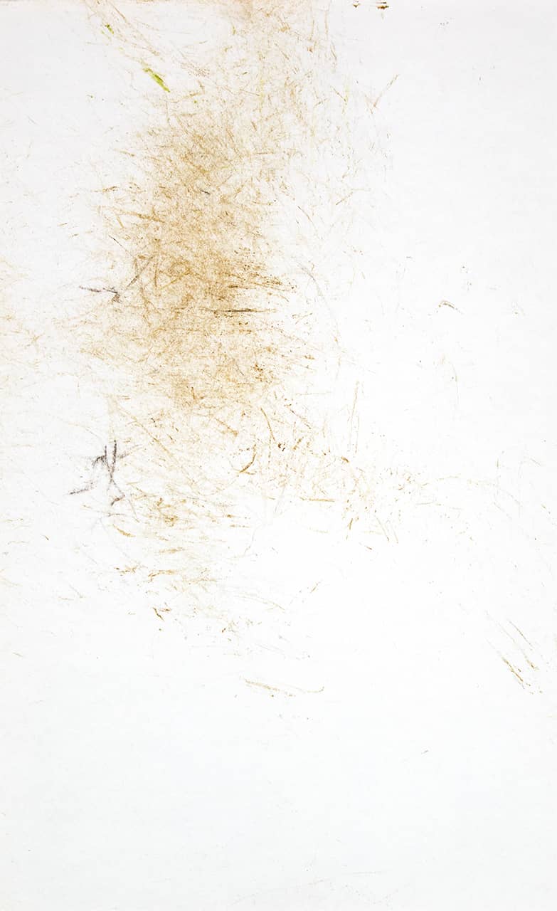 'Naima', series of drawings (soil and grass on paper). Artworks by Francesca Virginia Coppola