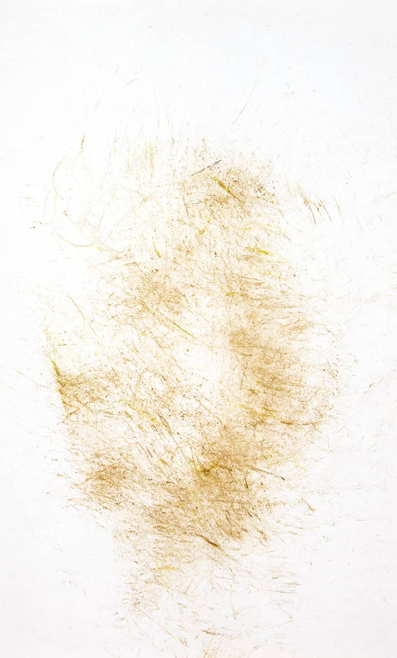 'Naima', series of drawings (soil and grass on paper). Artworks by Francesca Virginia Coppola